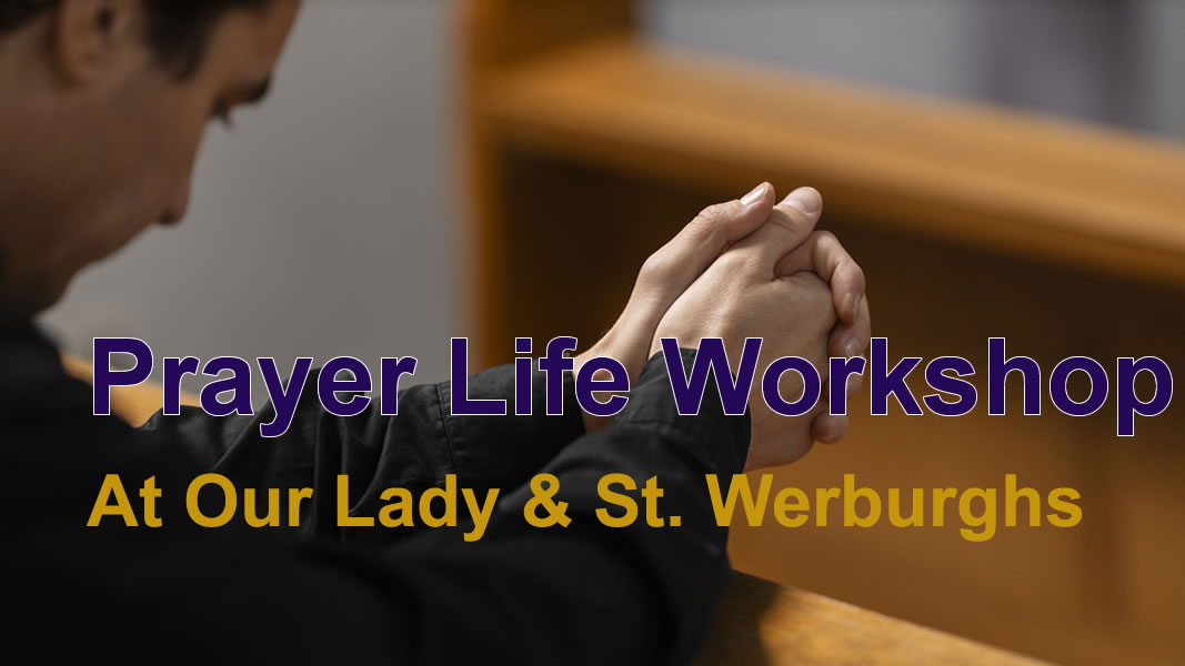 Picture of parishioners are Caritas Young at Heart Group